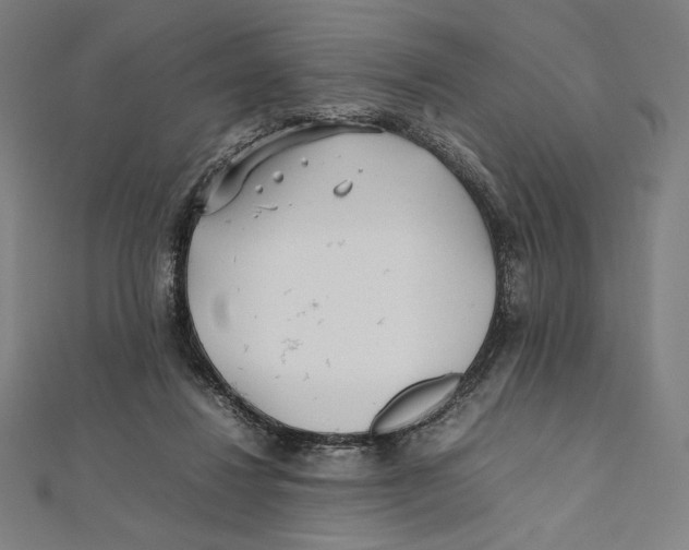 X0000112040260200908311242