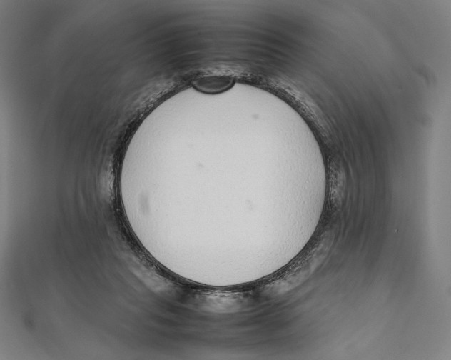 X0000112040261200908311242
