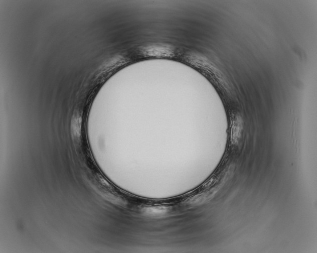 X0000112040263200908311242