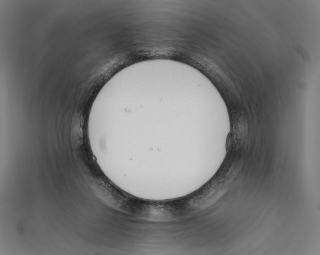 X0000112040264200908311242
