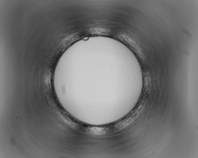 X0000112040265200908311242