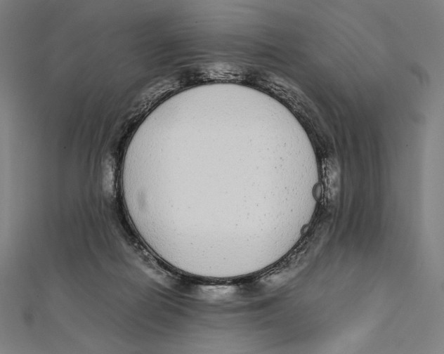 X0000112040266200908311242