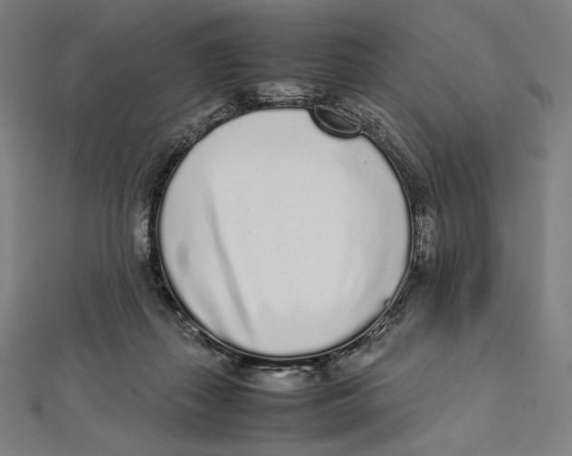 X0000112040267200908311242