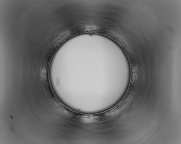 X0000112040269200908311242