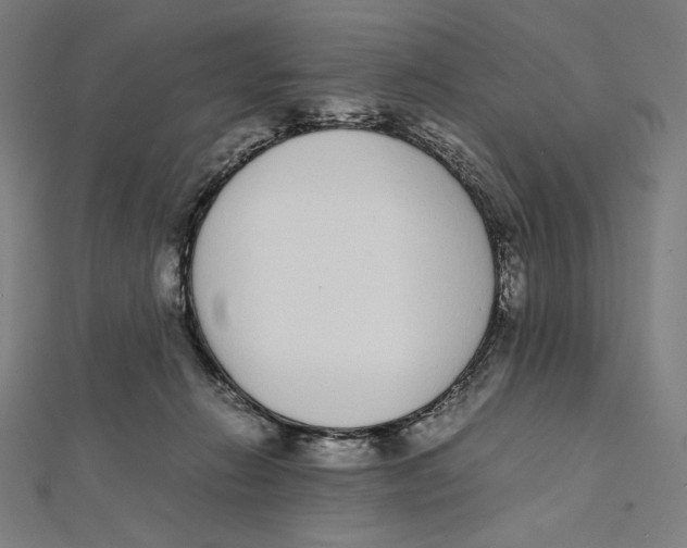 X0000112040270200908311242