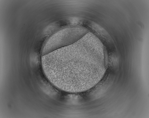 X0000112040272200908311242
