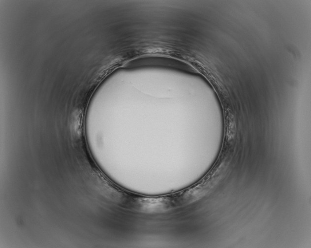 X0000112040273200908311242