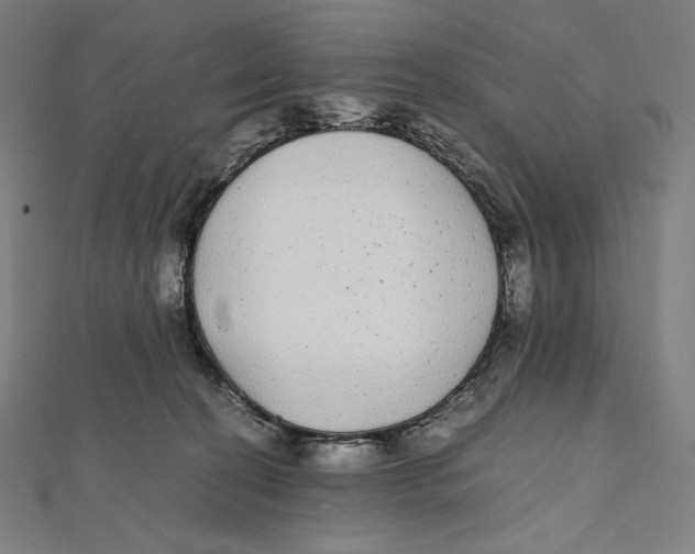 X0000112040274200908311242