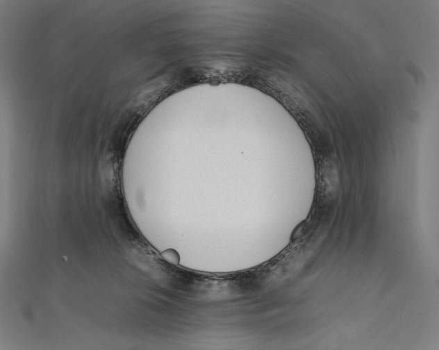 X0000112040276200908311242