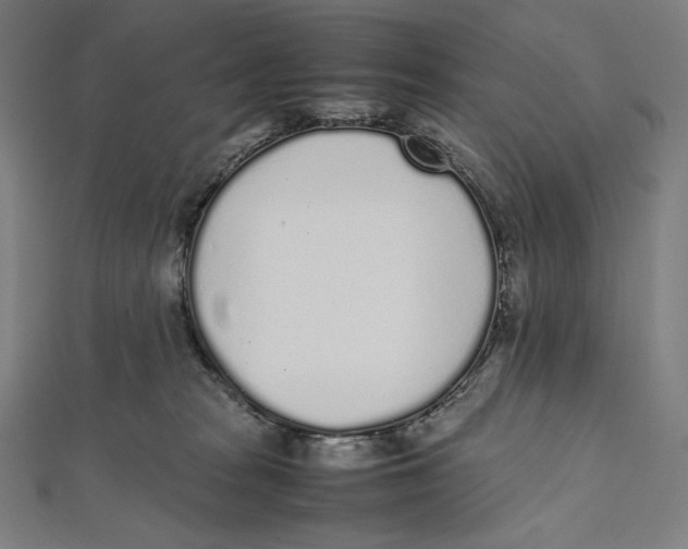 X0000112040277200908311242