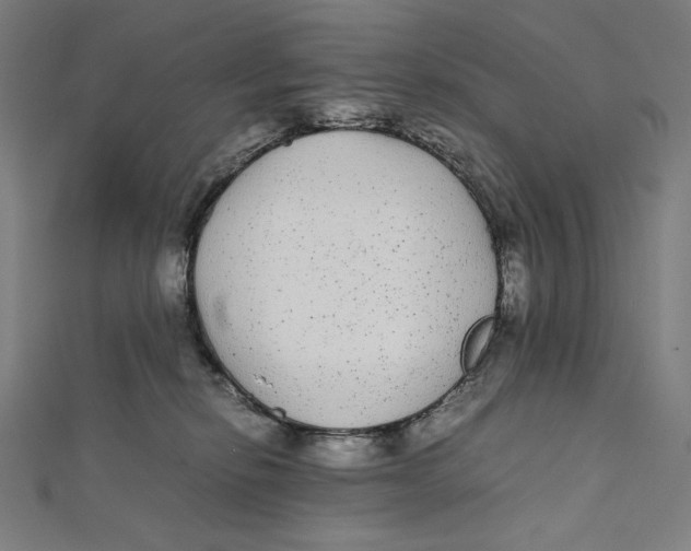 X0000112040278200908311242
