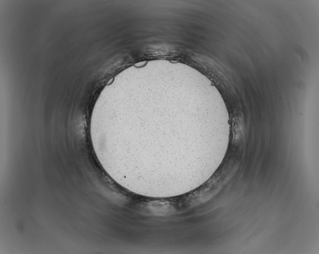 X0000112040279200908311242