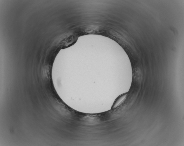 X0000112040280200908311242