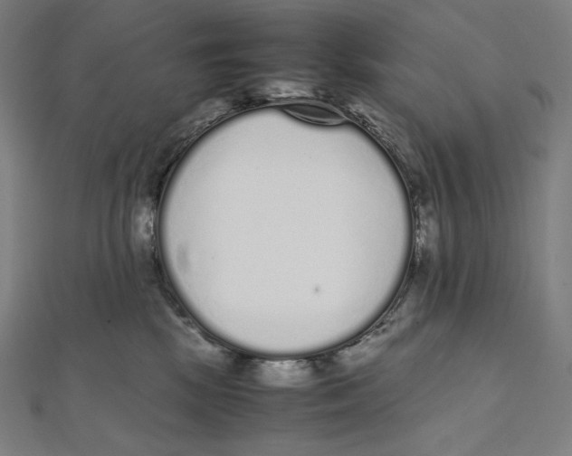 X0000112040281200908311242
