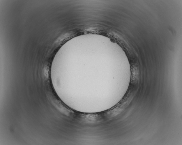 X0000112040282200908311242