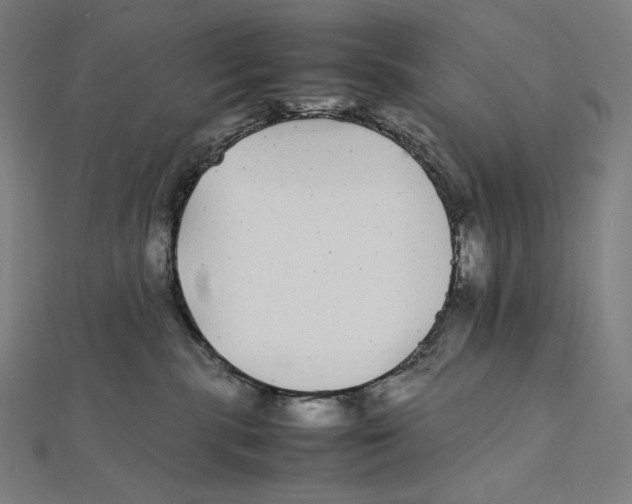 X0000112040283200908311242