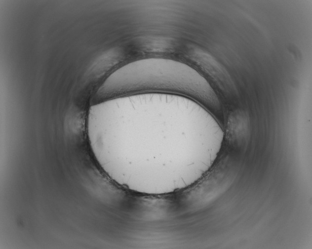 X0000112040284200908311242