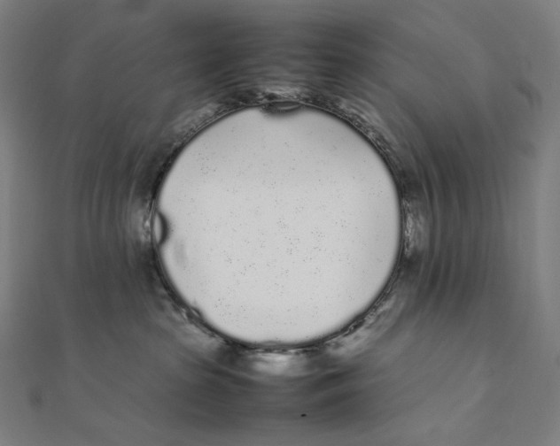 X0000112040285200908311242