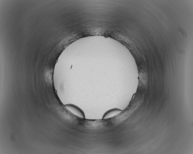 X0000112040286200908311242