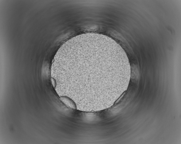 X0000112040287200908311242