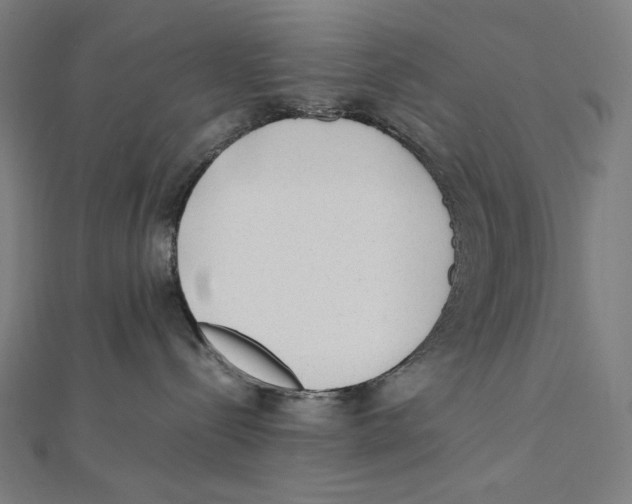 X0000112040288200908311242