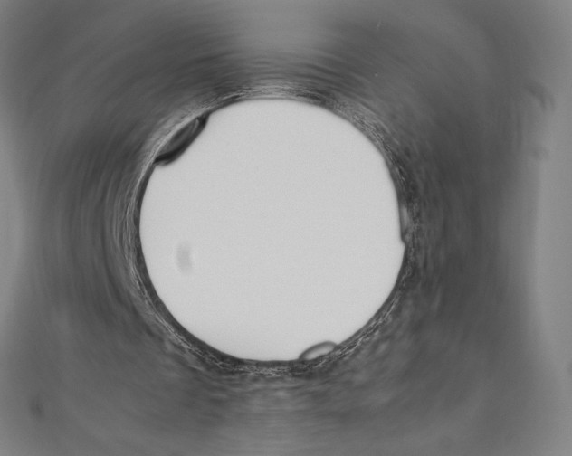 X0000112040289200908311242