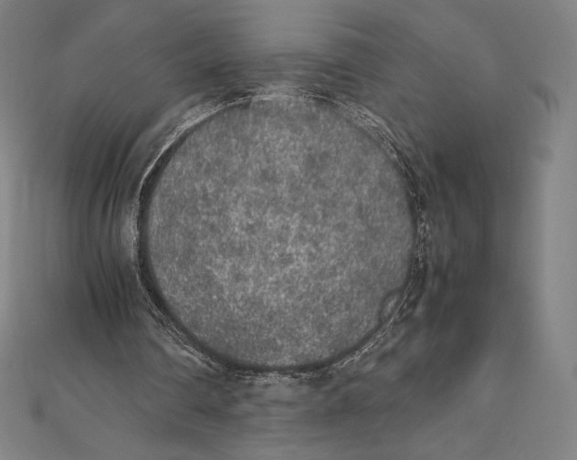 X0000112040290200908311242