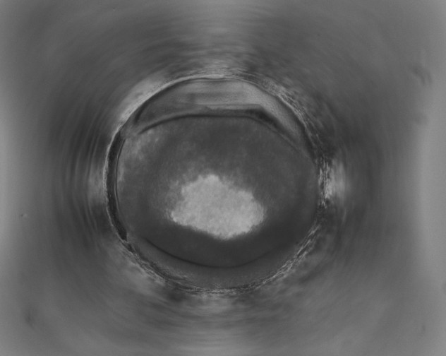 X0000112040292200908311242