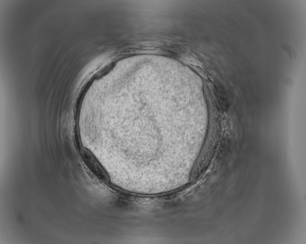 X0000112040293200908311242