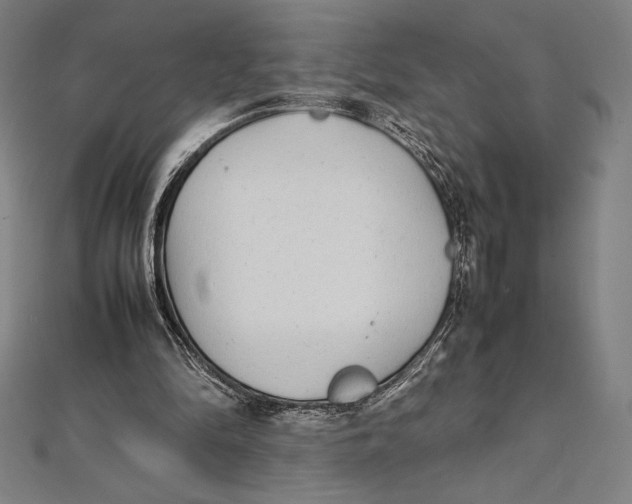 X0000112040294200908311242