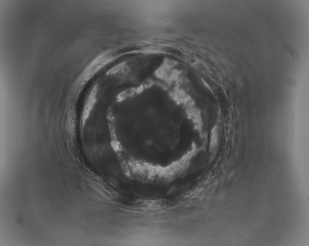 X0000112040295200908311241