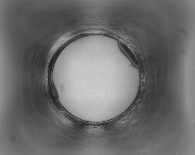 X0000112040296200908311241
