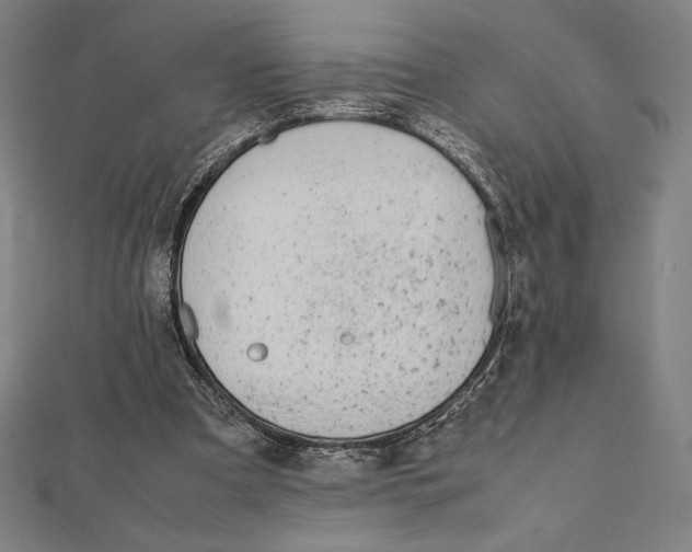 X0000112040297200908311241