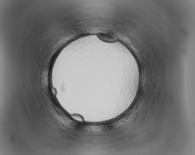 X0000112040299200908311241