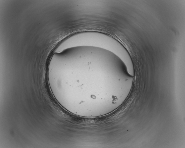 X0000112040301200908311241