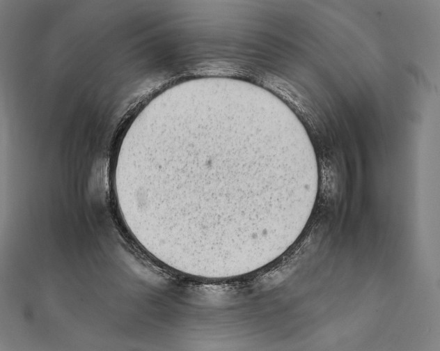 X0000112040302200908311241