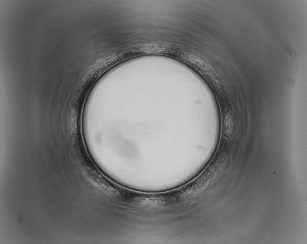 X0000112040303200908311241