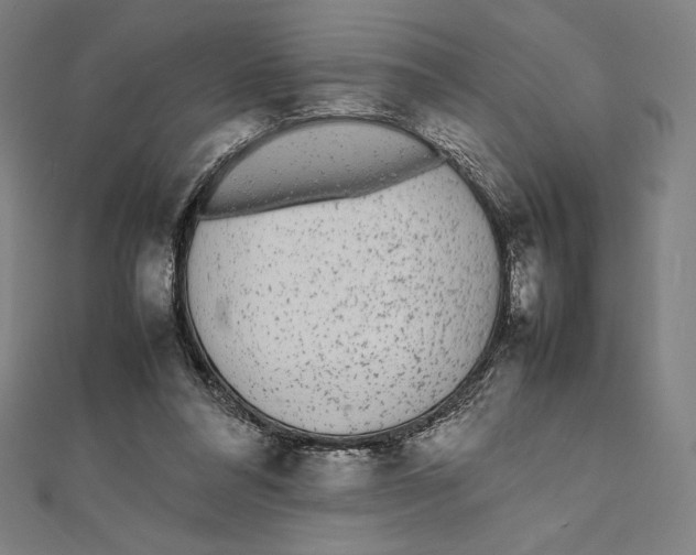 X0000112040304200908311241