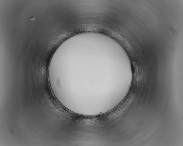 X0000112040306200908311241