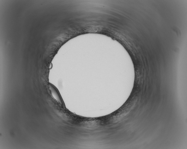 X0000112040307200908311241