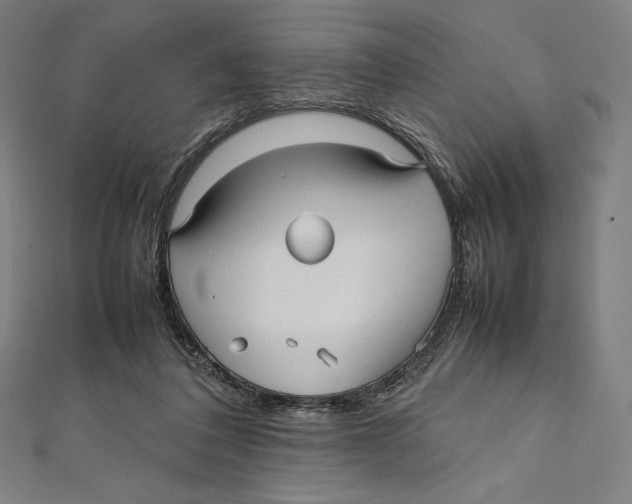X0000112040308200908311241