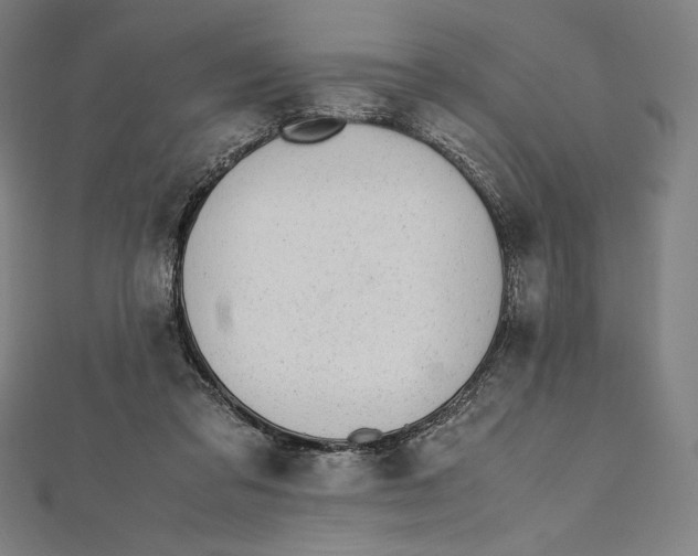 X0000112040309200908311241