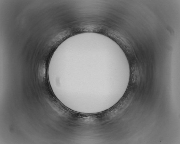 X0000112040310200908311241