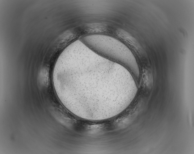 X0000112040312200908311241