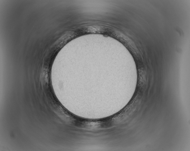 X0000112040313200908311241