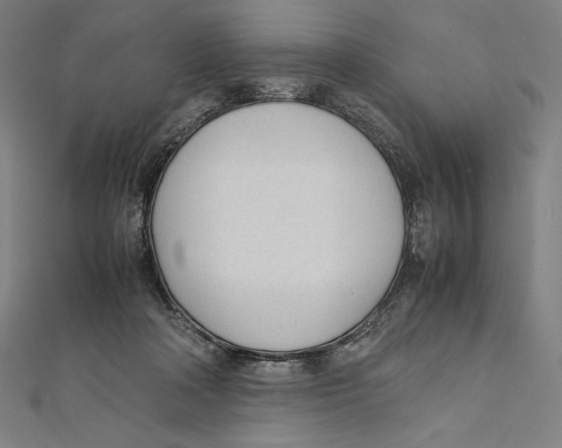 X0000112040314200908311241