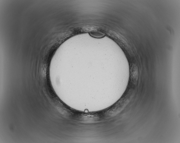 X0000112040315200908311241