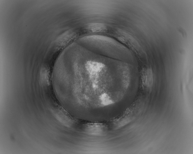 X0000112040316200908311241