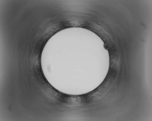 X0000112040317200908311241