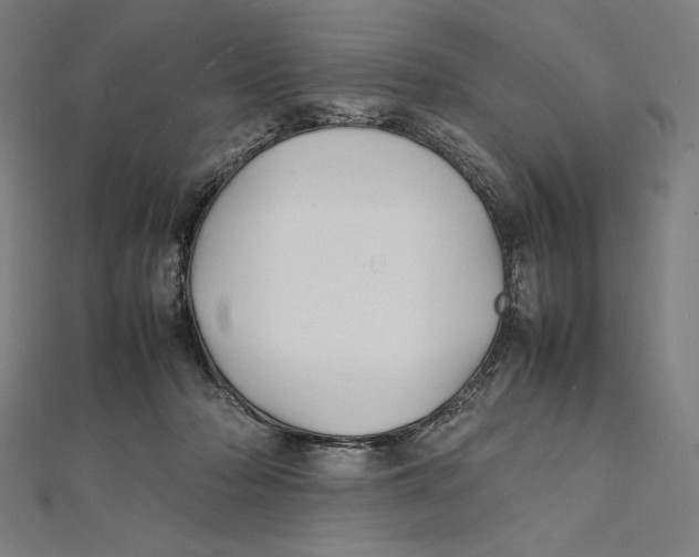 X0000112040318200908311241
